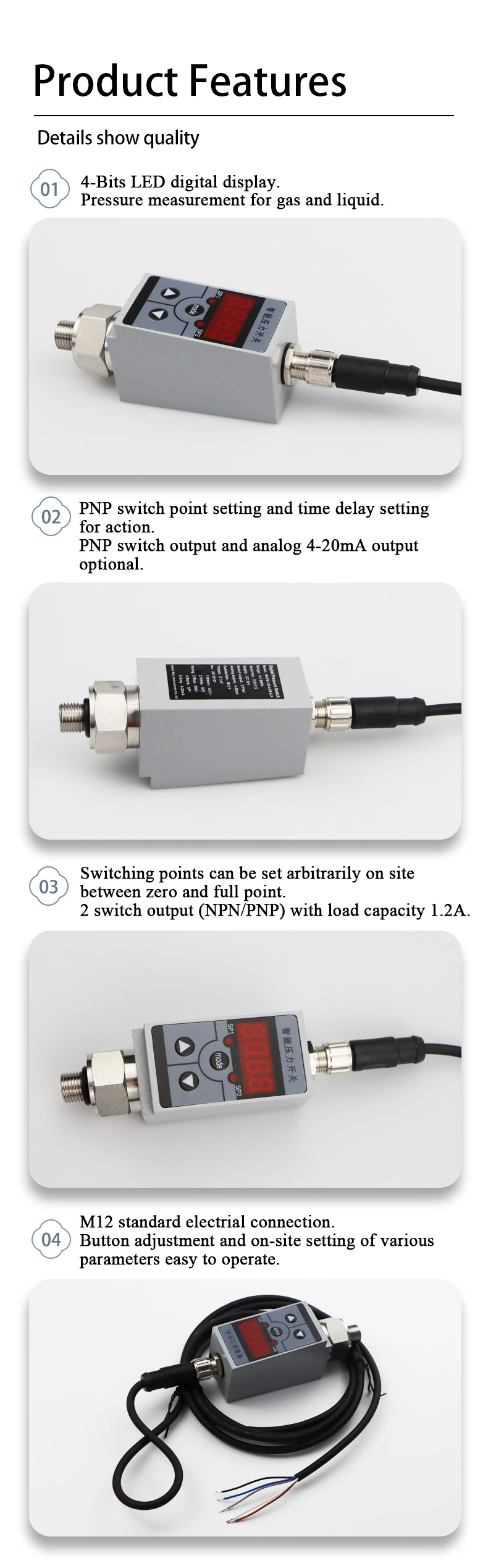 Siko Electrics Flow Totalizer Indicator Meter Flow Computer