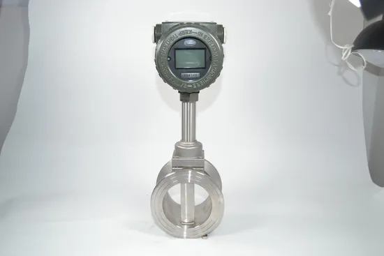 Mehr als 30 Jahre Technologie und hochwertiges CO2-Gasdurchfluss-Zählermessgerät